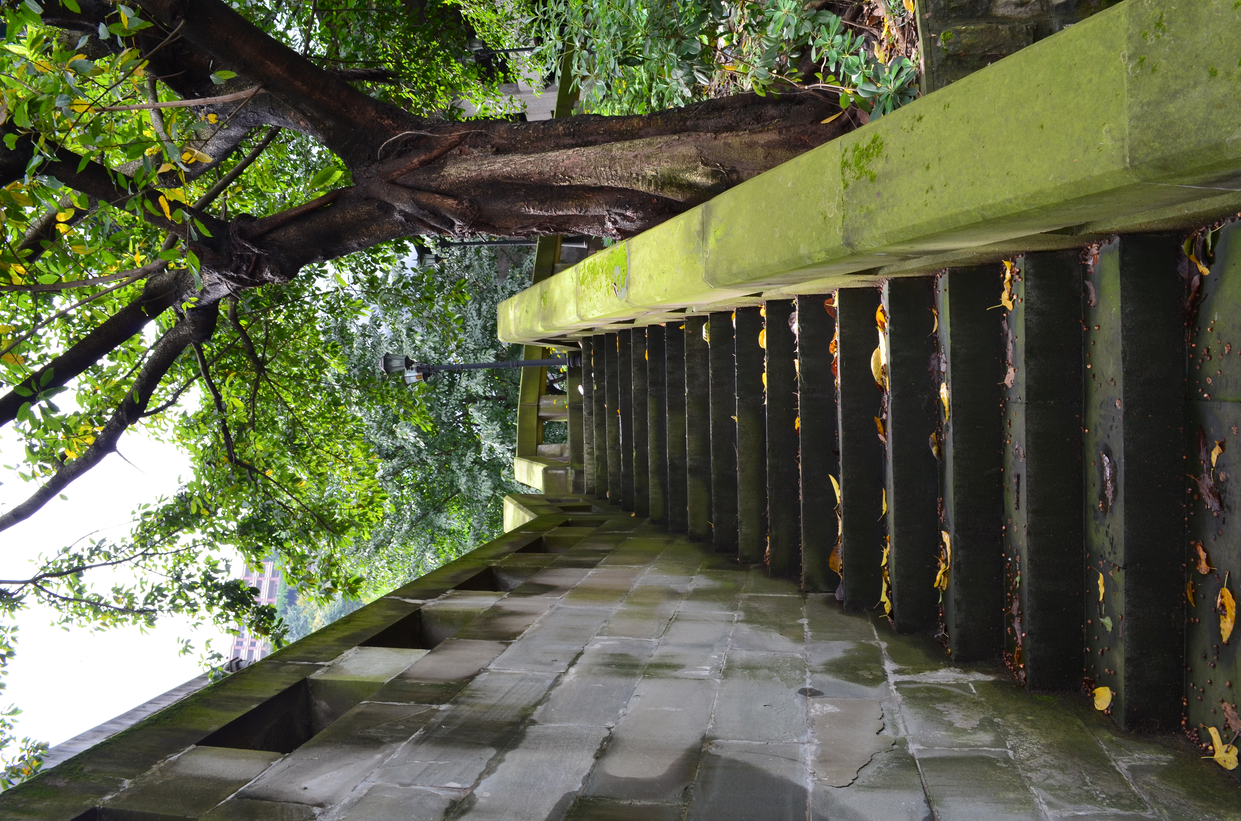 ./2018/03 - Viking China/15 - Chongqing/DSC_0784.JPG